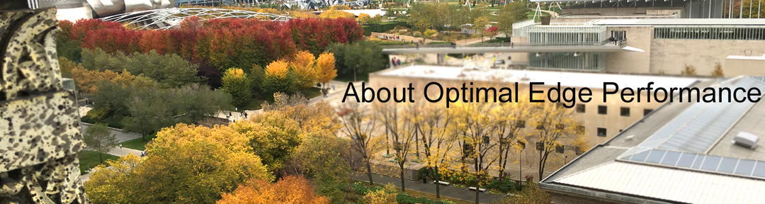 neuroscience view optimal performance
